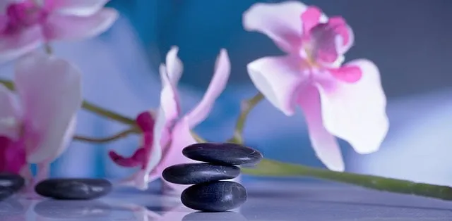 12 CE Hour Hot Stone Massage Workshop (Computer-Based Live Interactive Webinar)