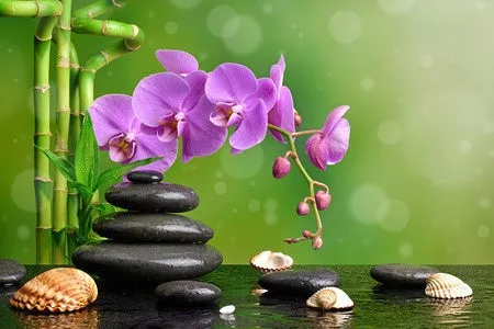 12 CE Hour Hot Stone Massage Workshop (Computer-Based Live Interactive Webinar)