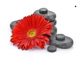 12 CE Hour Hot Stone Massage Workshop (Computer-Based Live Interactive Webinar)