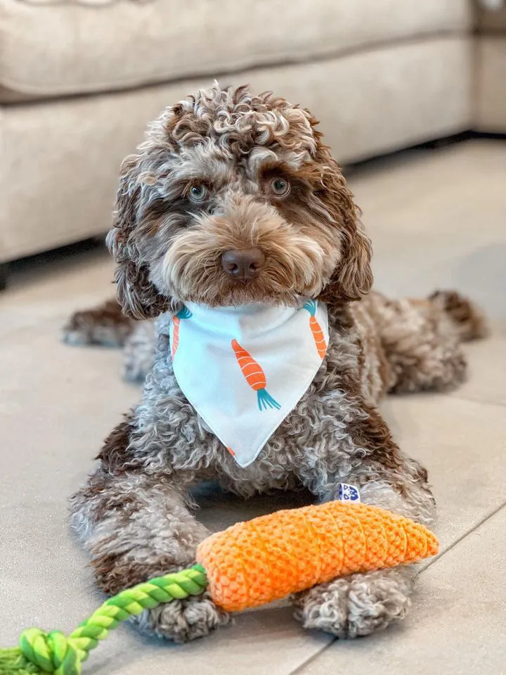 CARROT TUG ROPE INTERACTIVE DOG TOY