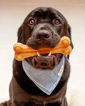 Himalayan Dog Chew Bone