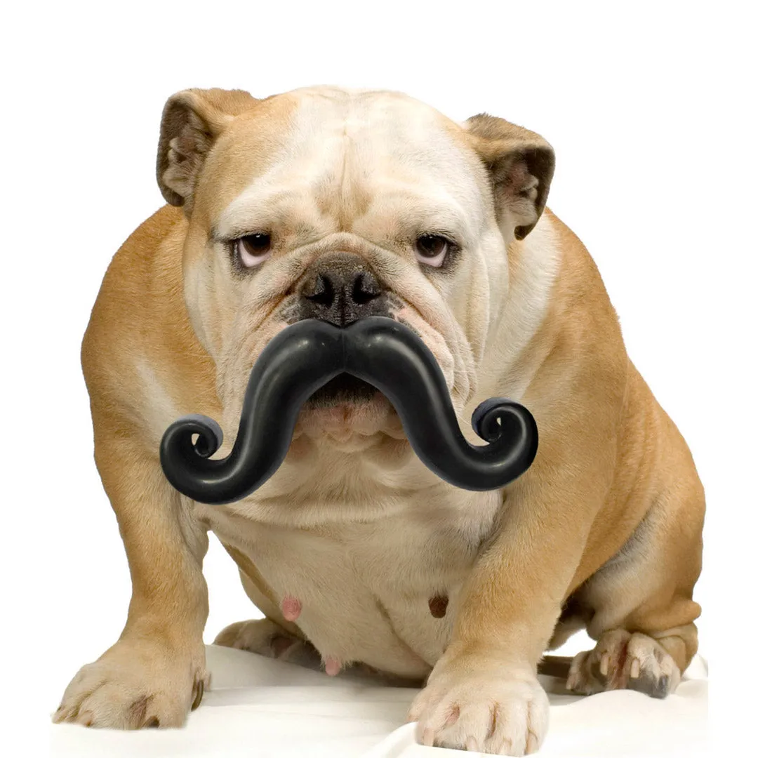 HUMUNGA STACHE SQUEAK FLOAT FETCH DOG TOY