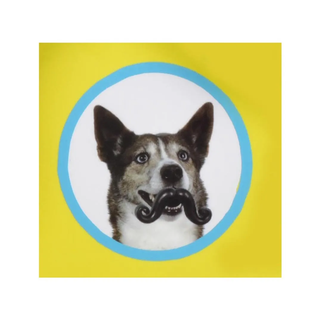 HUMUNGA STACHE SQUEAK FLOAT FETCH DOG TOY