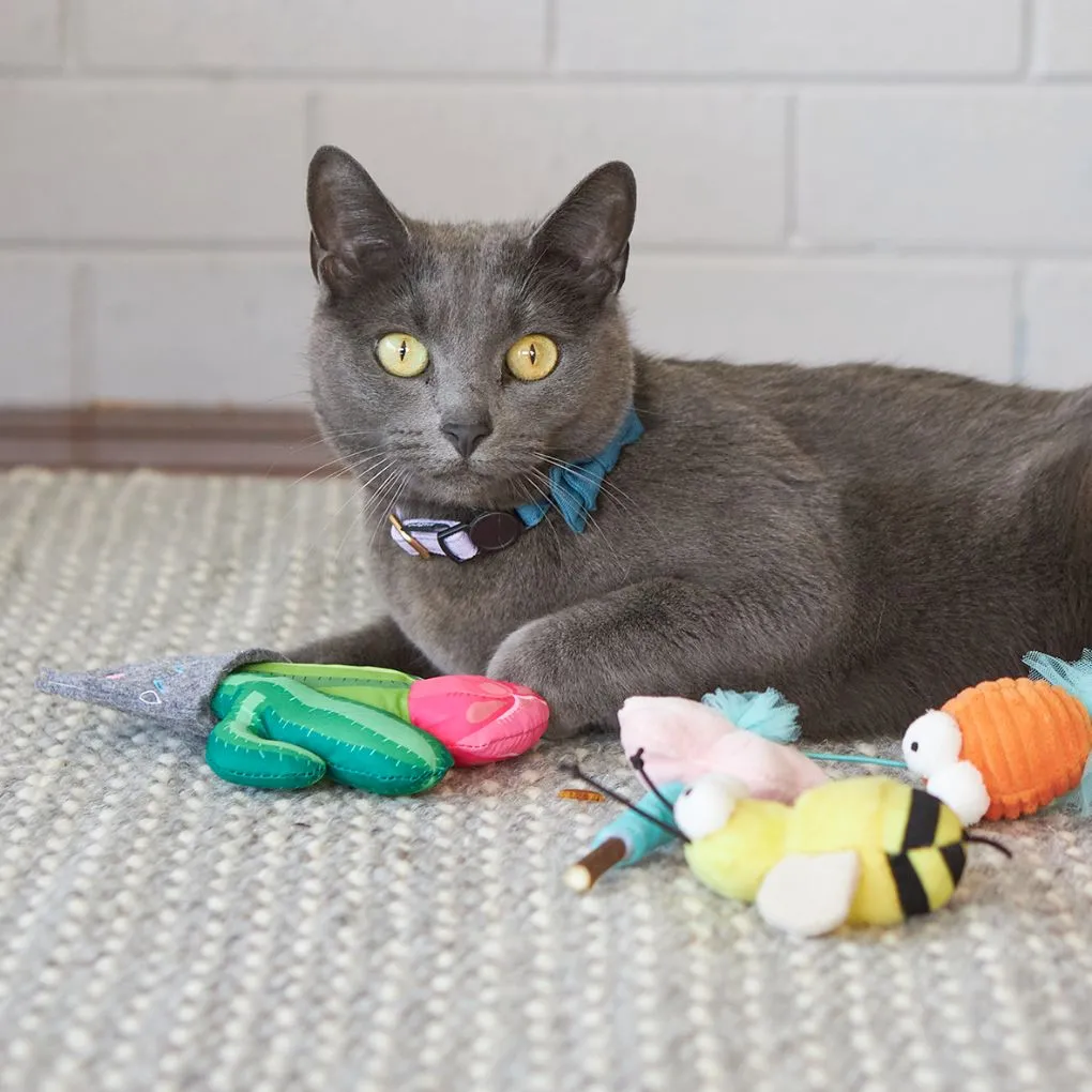 Kazoo Cactus Garden Cat Toy