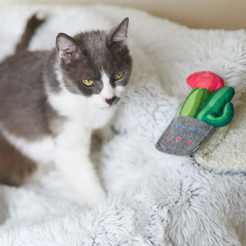 Kazoo Cactus Garden Cat Toy