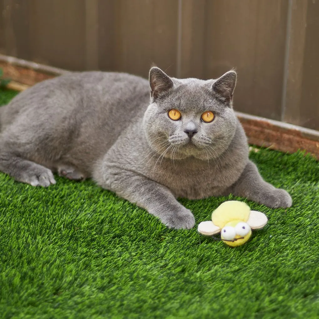 Kazoo Noisy Busy Bee Cat Toy