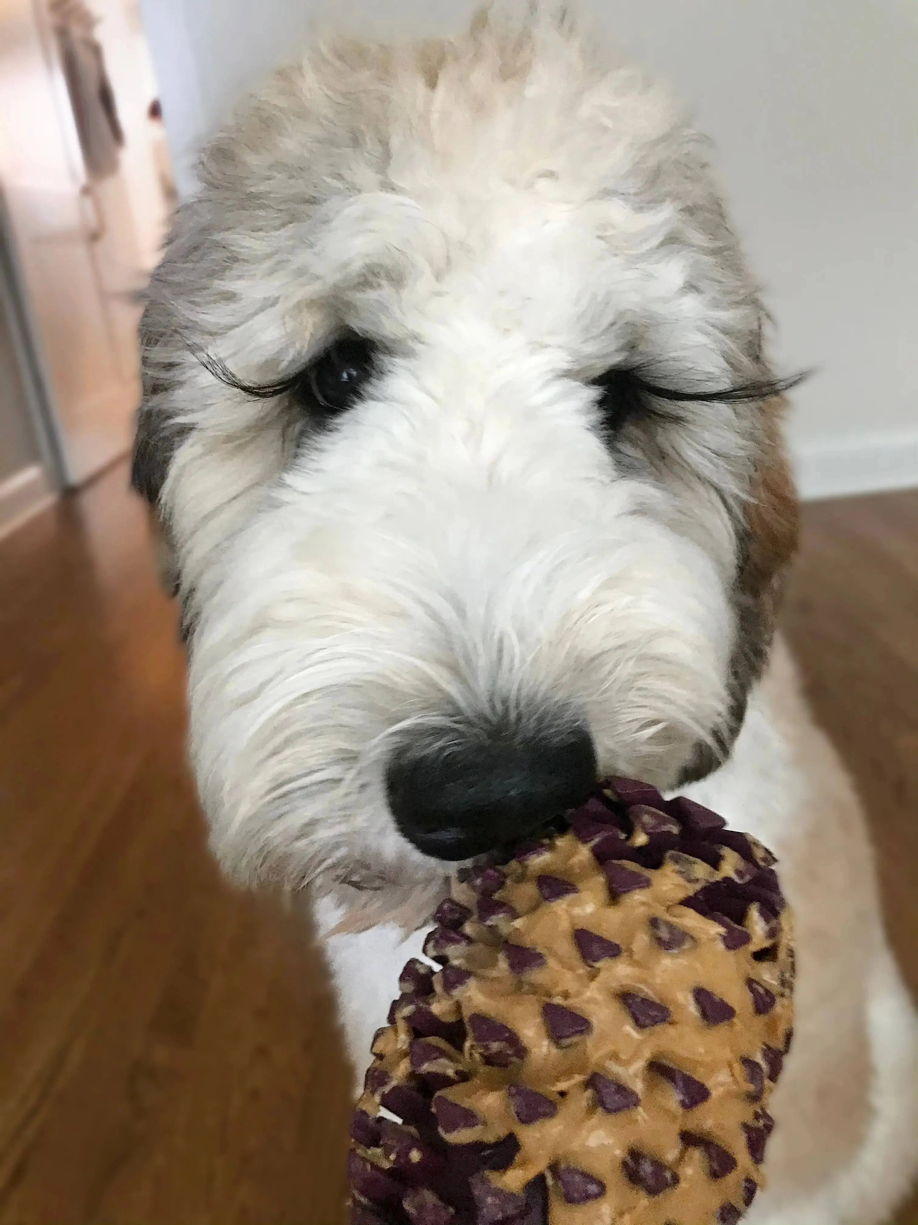 Natural Rubber Pinecone Toy