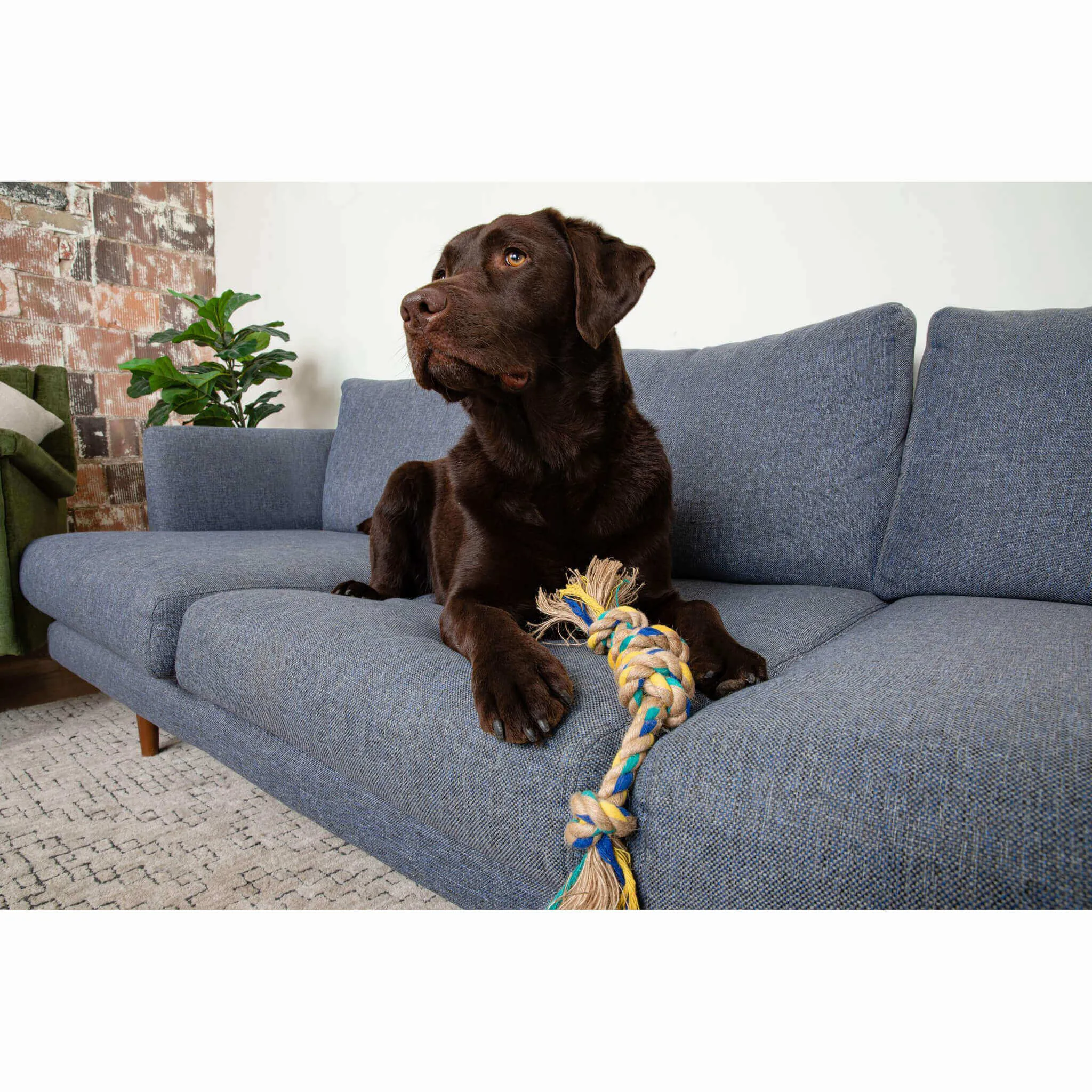 Only Natural Pet Hemp and Recycled Cotton Tug & Fetch Dog Toys