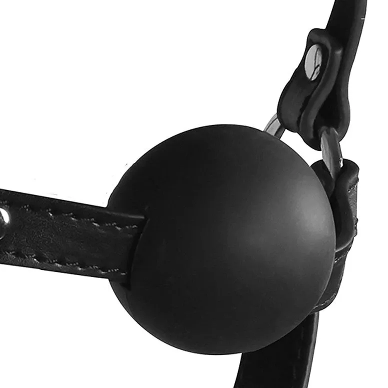 Ouch Xtreme Blindfolded Head Harness With Solid Ball Gag