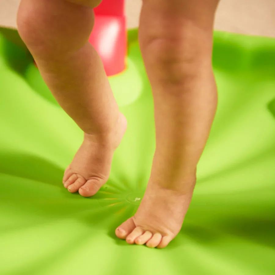 Playful Pastures Bouncing Activity Saucer