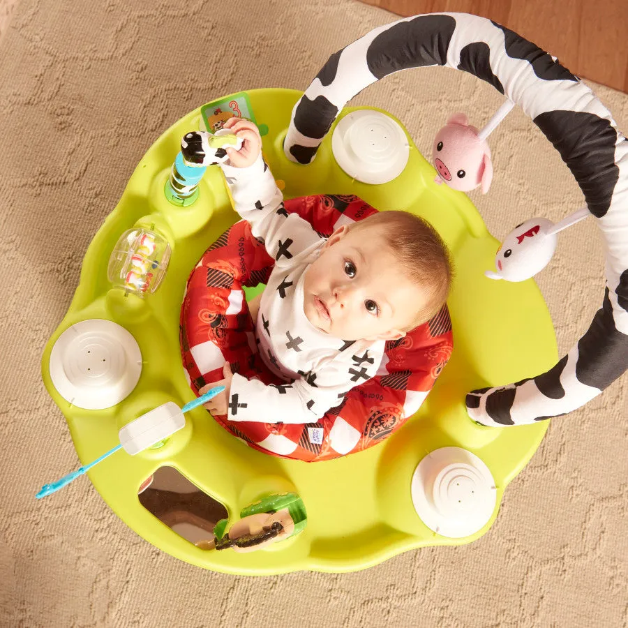 Playful Pastures Bouncing Activity Saucer