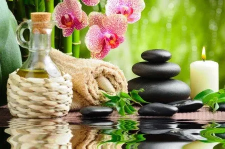 Self-paced Online Home Study 12 CE Aromatherapy & Hot Stone Massage Basics