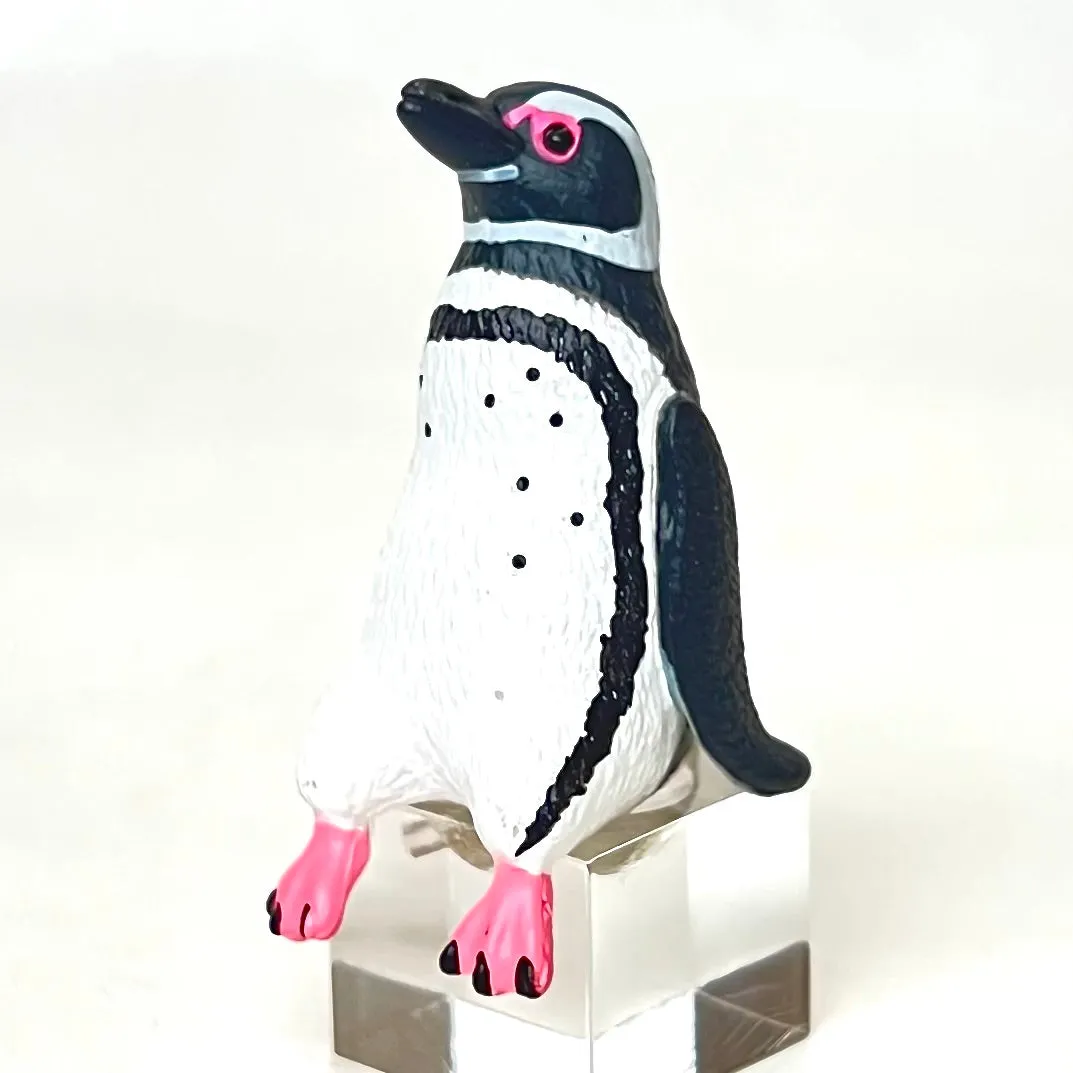 X 70963 Playful Penguin Figurine Capsule-DISCONTINUED